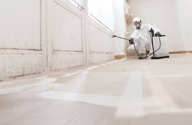 24/7 Emergency Mold Remediation experts in Charlestown, MD